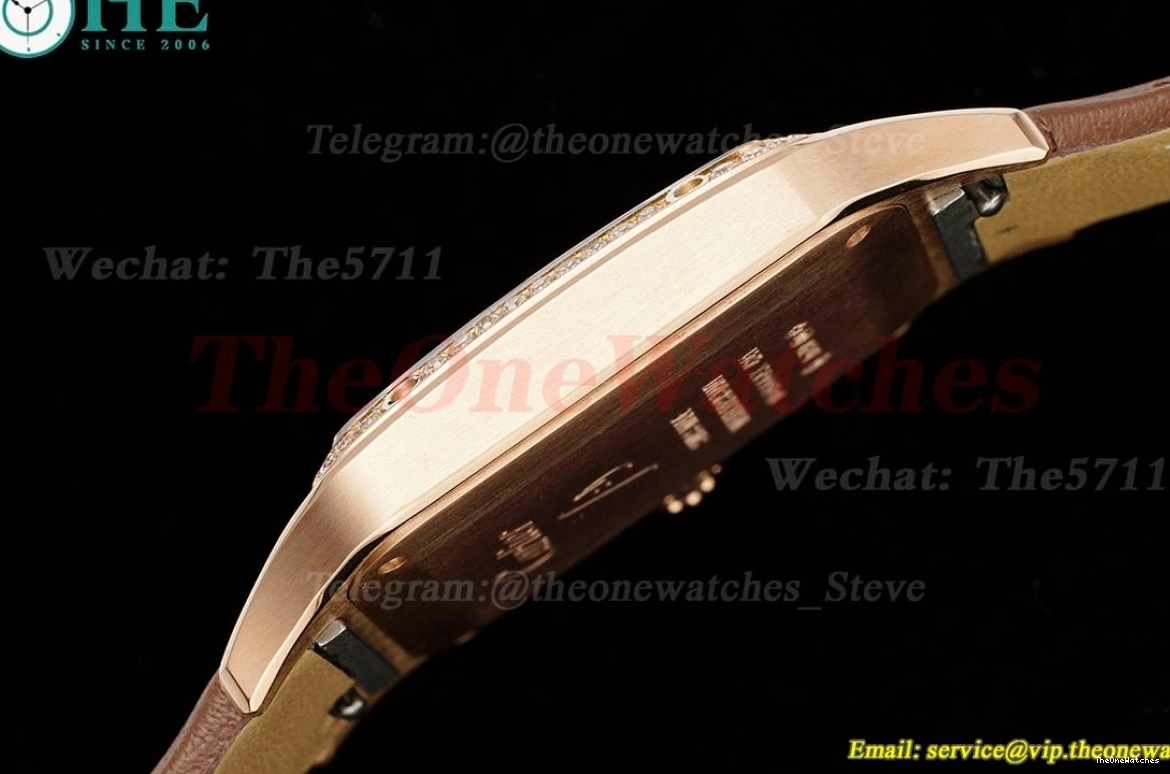 Dumont Dial Silver Brown Santos Quartz LE RG AF Dia 0313